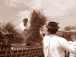 Foto: Zvonimir Tanocki