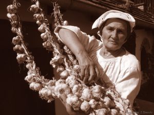 Foto: Zvonimir Tanocki