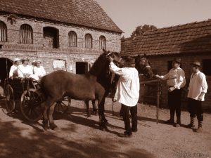 Foto: Zvonimir Tanocki