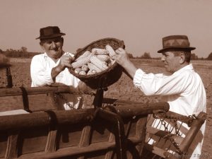 Foto: Zvonimir Tanocki