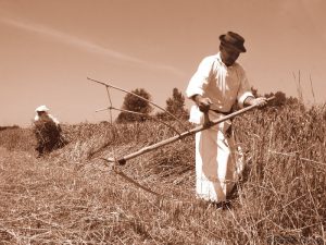 Foto: Zvonimir Tanocki