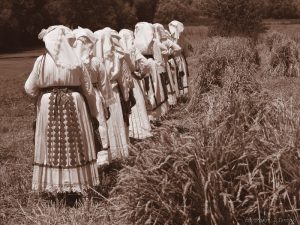 Foto: Zvonimir Tanocki